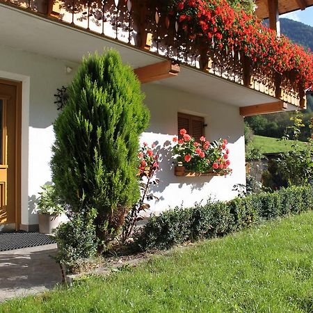Haus Kofler Apartment Casateia Bagian luar foto